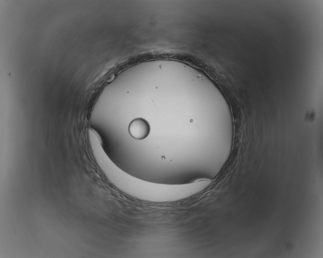 X0000112761157200909171243