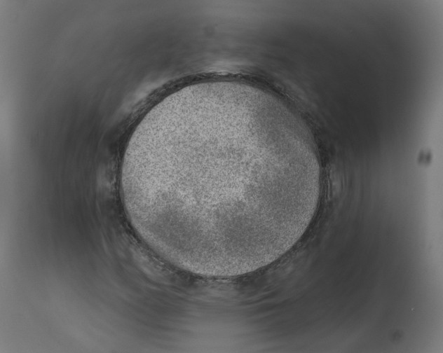 X0000112761158200909171243