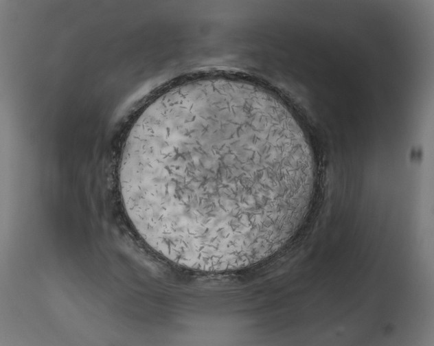 X0000112761159200909171243