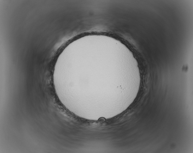 X0000112761160200909171243