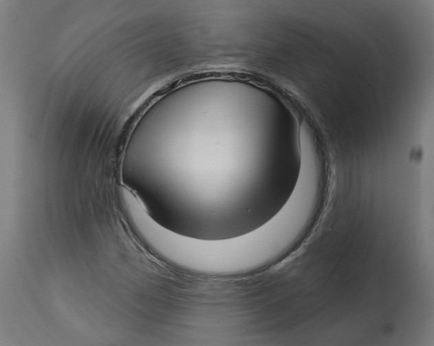 X0000112761162200909171243