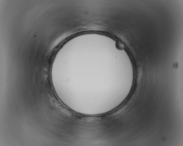 X0000112761163200909171243