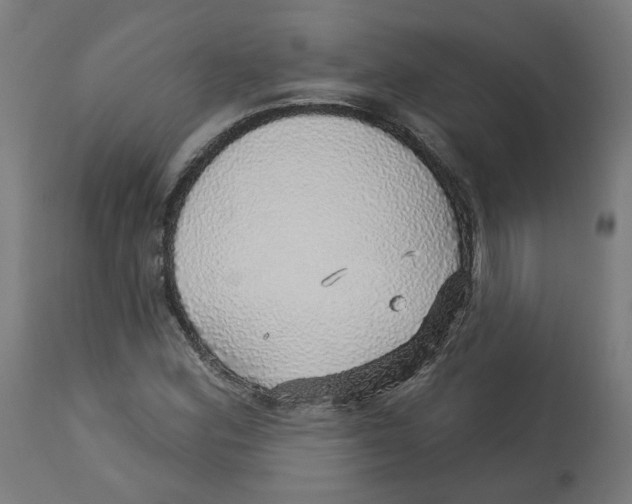 X0000112761164200909171243