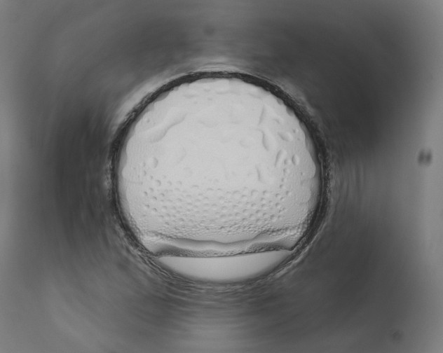 X0000112761167200909171243