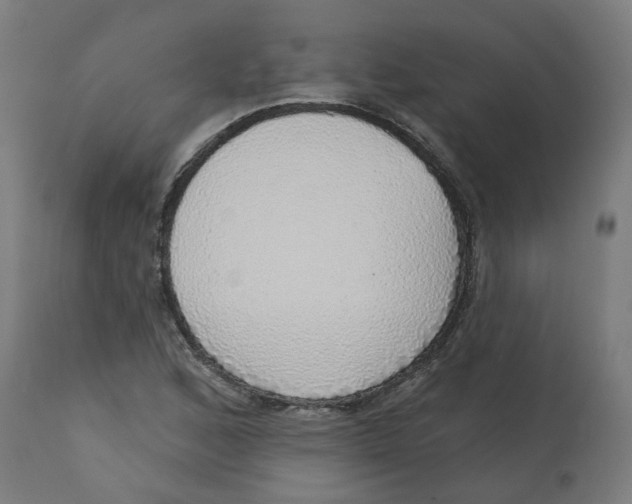 X0000112761168200909171242