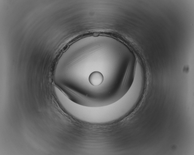 X0000112761169200909171242