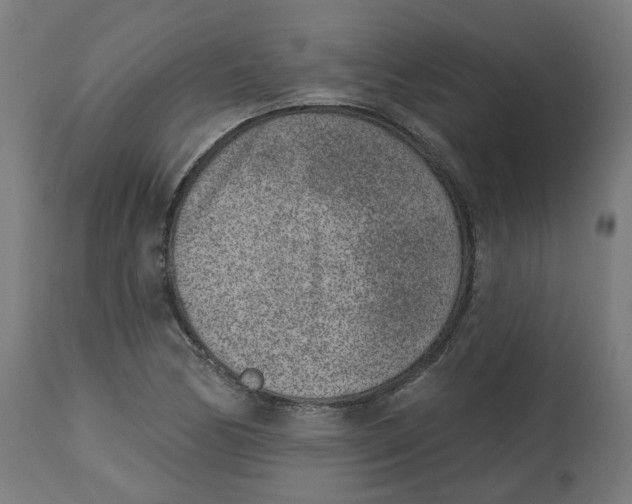 X0000112761170200909171242