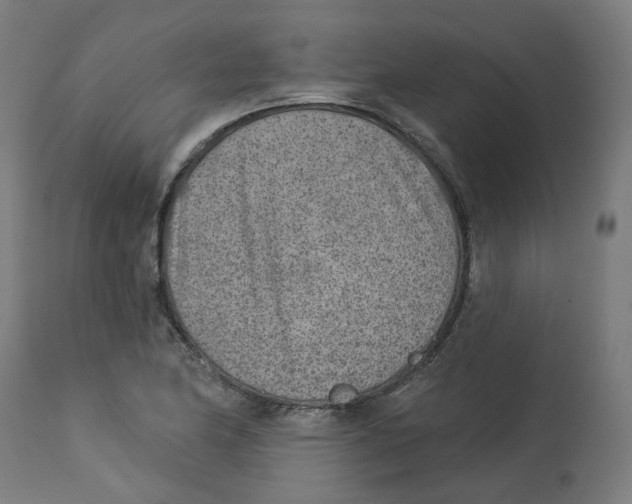 X0000112761174200909171242