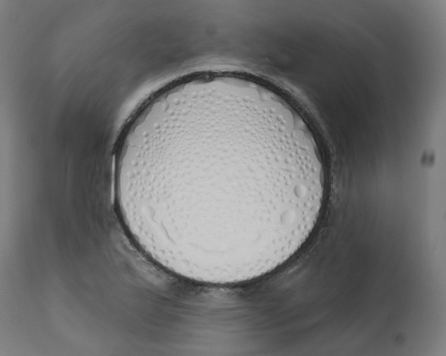 X0000112761175200909171242