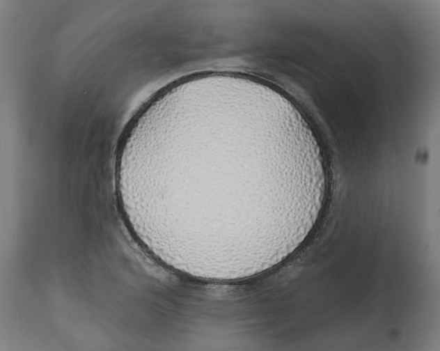 X0000112761176200909171242