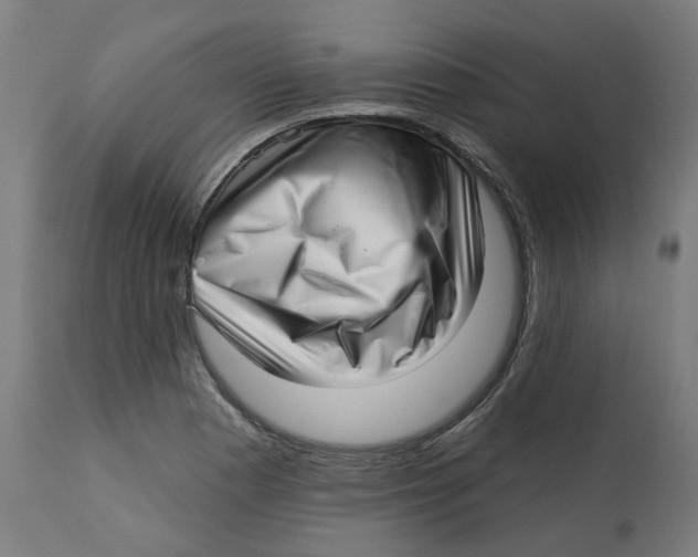 X0000112761177200909171242