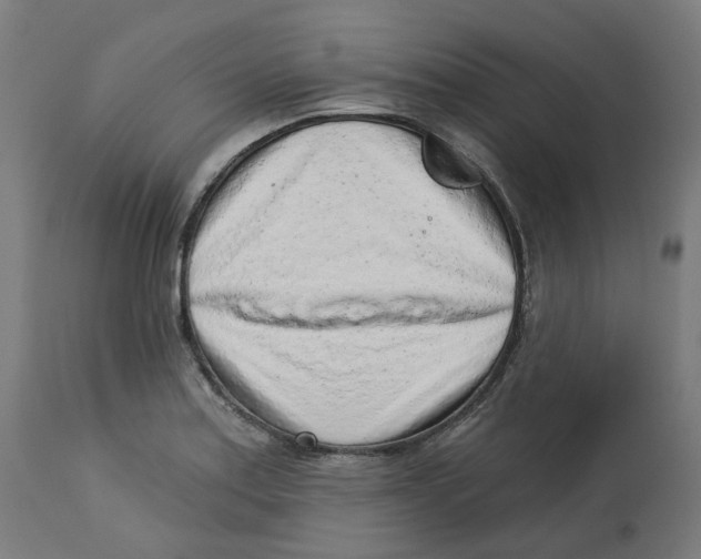 X0000112761179200909171242