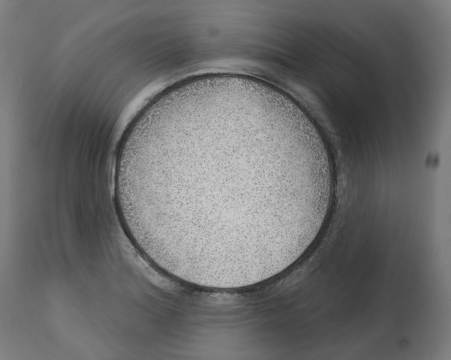 X0000112761180200909171242