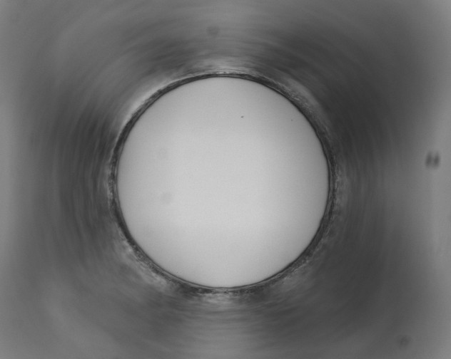 X0000112761182200909171242