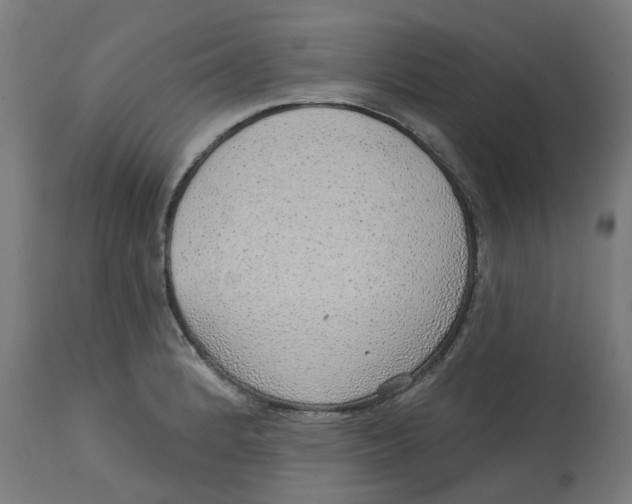 X0000112761184200909171242