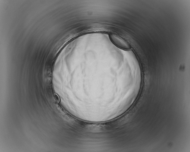 X0000112761185200909171242