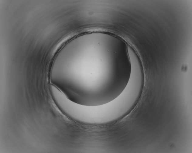 X0000112761189200909171242