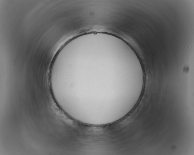 X0000112761190200909171242