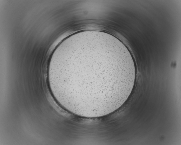 X0000112761195200909171242