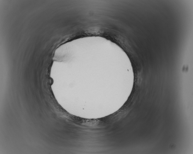 X0000112761201200909171241