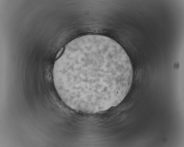 X0000112761202200909171241