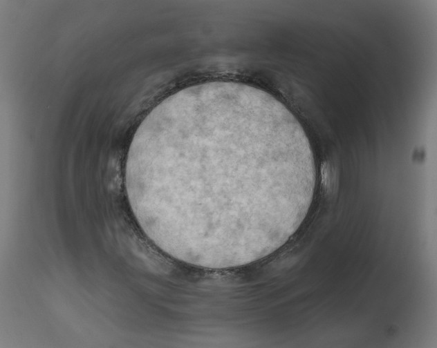 X0000112761203200909171241