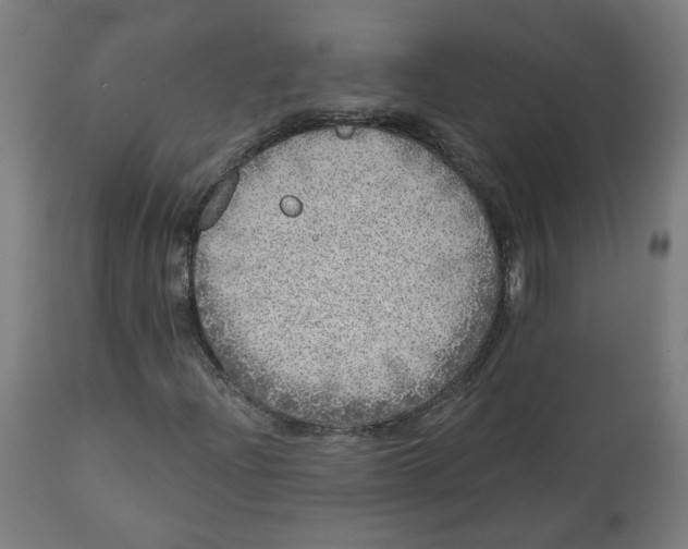 X0000112761204200909171241