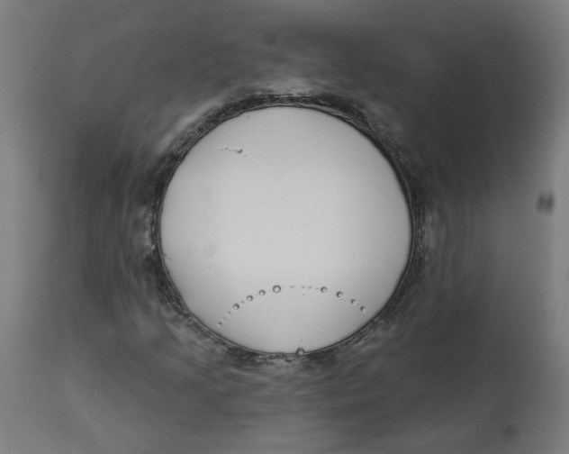 X0000112761205200909171241