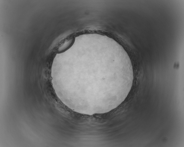 X0000112761207200909171241