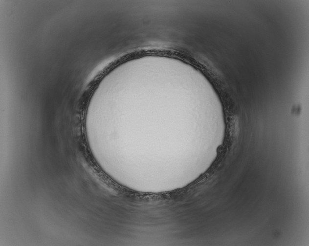 X0000112761208200909171241