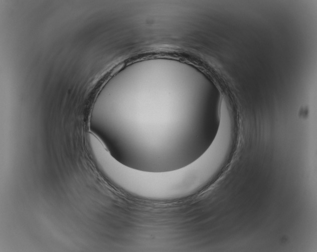 X0000112761209200909171241