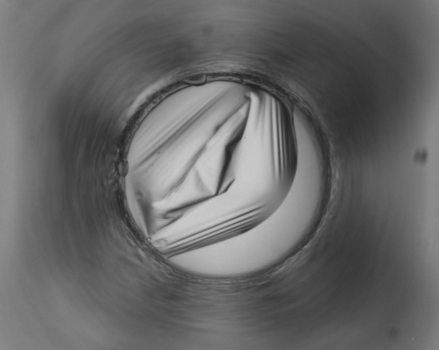X0000112761210200909171242