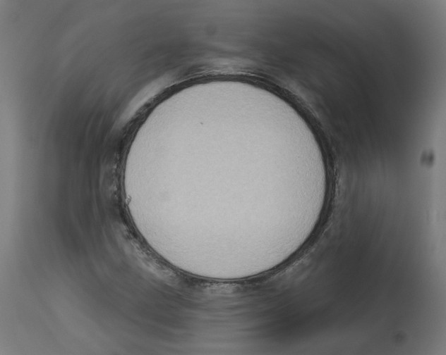 X0000112761211200909171242