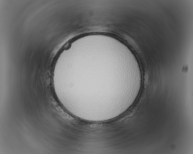 X0000112761212200909171242