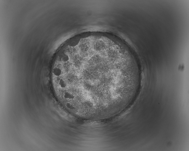 X0000112761213200909171242