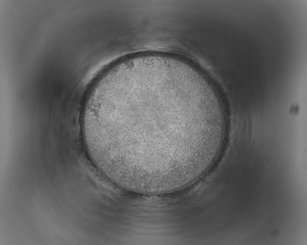 X0000112761214200909171242