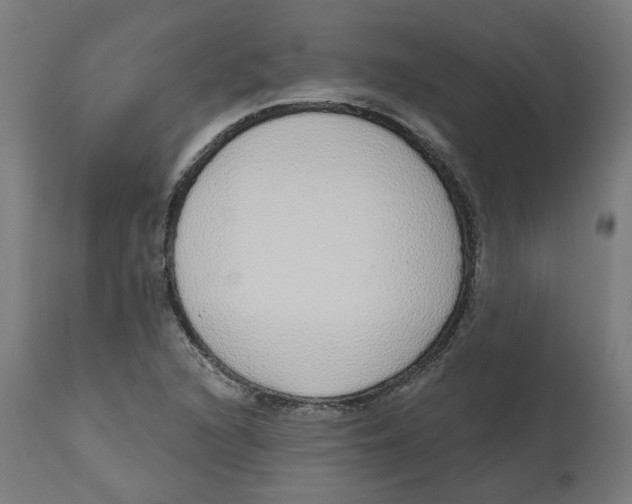 X0000112761216200909171242