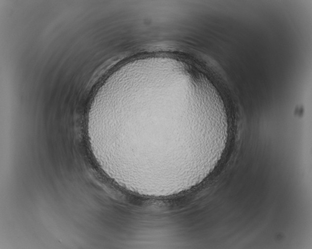 X0000112761217200909171242