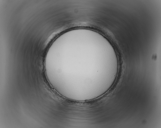 X0000112761218200909171242