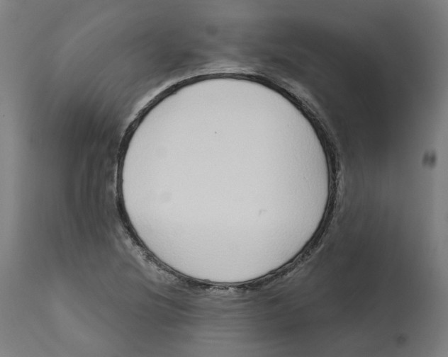 X0000112761220200909171242