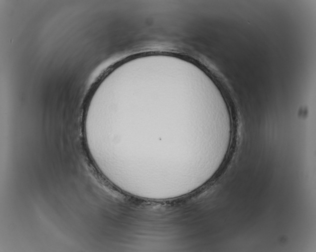 X0000112761222200909171242