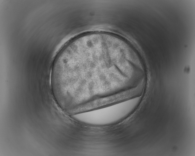 X0000112761224200909171242