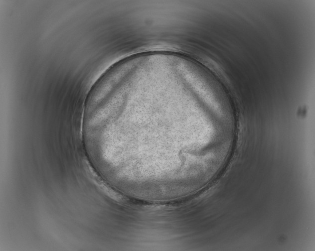 X0000112761228200909171242