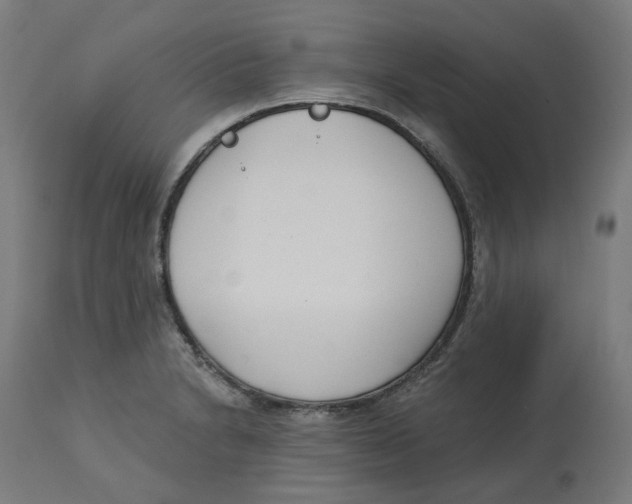 X0000112761230200909171242