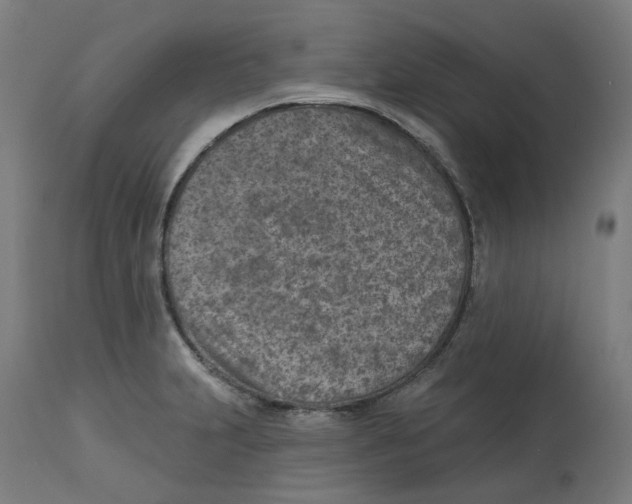 X0000112761231200909171242