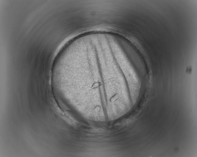 X0000112761232200909171242