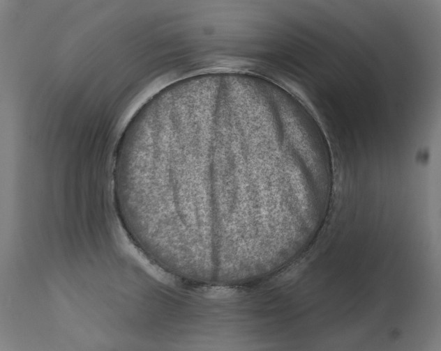 X0000112761235200909171242