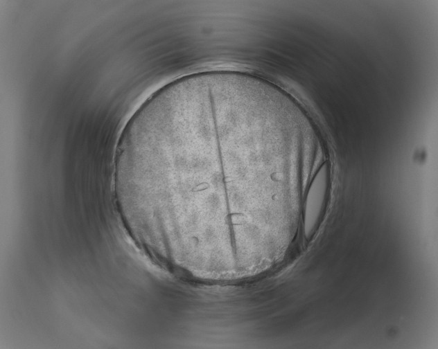 X0000112761236200909171242