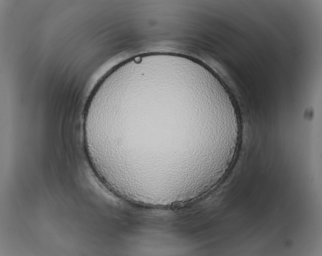 X0000112761238200909171242