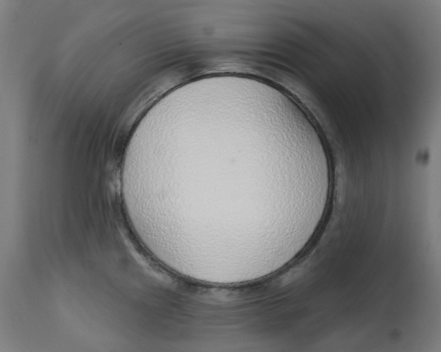 X0000112761241200909171242